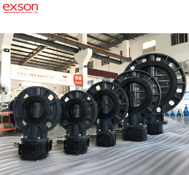 Plastic butterfly valve